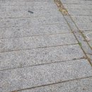 현천배수펌프장 이미지