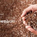 고건농장 이미지