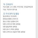 ㅇㅇㅇ 산부인과 ㅁ의사한테 시술받기로 했는데 같은병원 ㅇ의사한테 진료봐도돼???? ㅁ의사가 알려나? 이미지