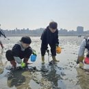 조개캐기 체험 시대일보