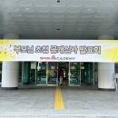 신사아카데미 유도/주짓수 이미지