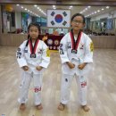 용인대 현대태권도장 이미지