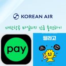 대한항공_카카오페이 | 대한항공 5000 마일리지 긴급 충전 수혈 방법 팔라고 이용 네이버포인트 전환 후기
