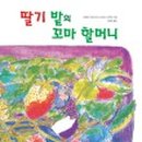 딸기밭 이미지