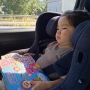 중앙초교 건너편(육교밑) | 일본. 오키나와 자유여행 ① │ 21개월 아기와 함께