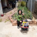 논공읍사무소 이미지