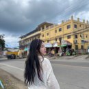 피부야 놀자 | 보홀 3박5일 일정 P들의 즉흥여행 대략적으로 짜도 가능 알로나비치에서 놀자