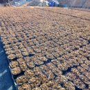 개구리목장 이미지