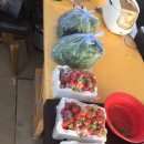 은혜농장2 이미지