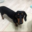 인동고등학교 이미지