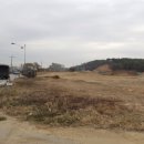 양노다