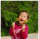 청아목장 네이버블로그