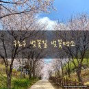 하늘숲초등학교