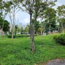 아이파크에이스공인중개사사무소 이미지