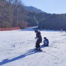 비발디파크
