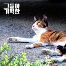 이기획 네이버블로그