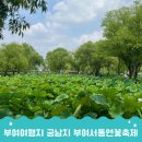 부여여행코스로 다녀온 서동공원 궁남지, 부여서동연꽃축제 후기