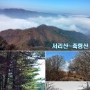 축령산아침 이미지