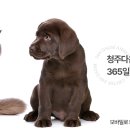 24시청주다옴동물의료센터 이미지