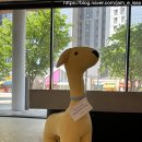 Thinking Dog(띵킹 독)