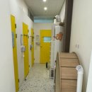 마곡 고양이 미용 호텔 이미지