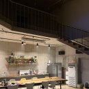 스테이위드독 이미지