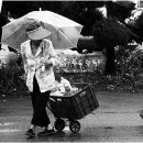 내사랑똥강아지 이미지