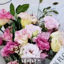 그린앤화이트 이미지