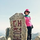 오색약국 이미지