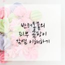 수원-1841 | 반려동물 피부문제 수원동물병원 이야기