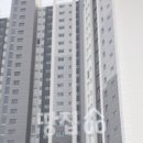 상상써밋