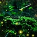 한경면 청수물마을 이미지