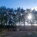 해넘이축제펜션민박 | 가족여행 종결! 서천해변가족여행펜션 &amp; 서천해돋이축제펜션 &#39;에덴펜션&#39; 솔직 후기 ㄷ ㄷ