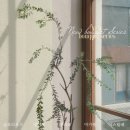 노란곰돌이PC | 아이폰 사진 보정법 어플 라이트룸 프리셋 적용 색감 보정 필터