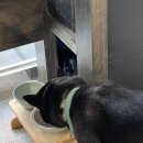 차담정2 이미지