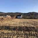 내가면-2 이미지