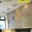 국수나무 증평점 이미지