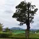 승촌공원 네이버블로그