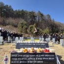 올린