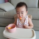 청도청과 이미지