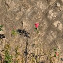 북촌농장 이미지