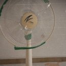 팔공티(PALGONG TEA) 이미지