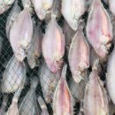 여섯시내족발 이미지