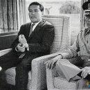 박정희로-2 이미지