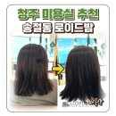 청주 미용실 추천 테크노 미용실 로이드밤 결혼식 염색