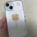 9월 나머지 일기🥚