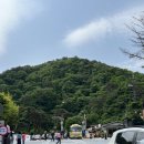 구룡제 | 원주 구룡사 세렴폭포 숲길 걷기(부처님 오신 날)