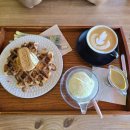 디캠 고흥 이미지