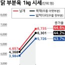 또닭또닭
