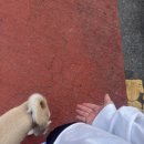 너구리주유소